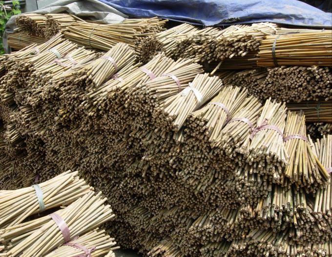 Des poteaux en bambou écologiques pour les plantes d'intérieur et d'extérieur 3