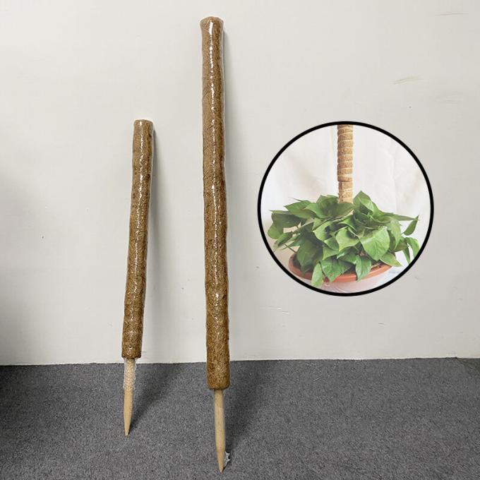 Coconut Coir Stick Taille personnalisée Coco Coir Totem Pole Mat Pour la croissance des plantes 2