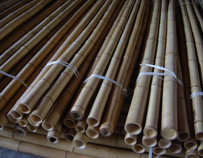 Forte Poteau en Bambou – Parfait pour les projets de bricolage, les supports et la décoration 3