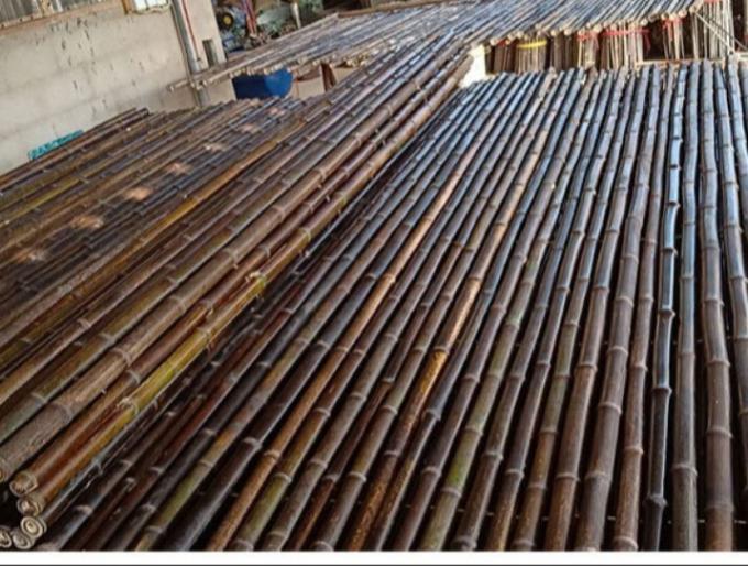 Barrière en bambou peinte matérielle en bambou naturelle Privacy Garden Border de Panels Rolled Bamboo de barrière 1