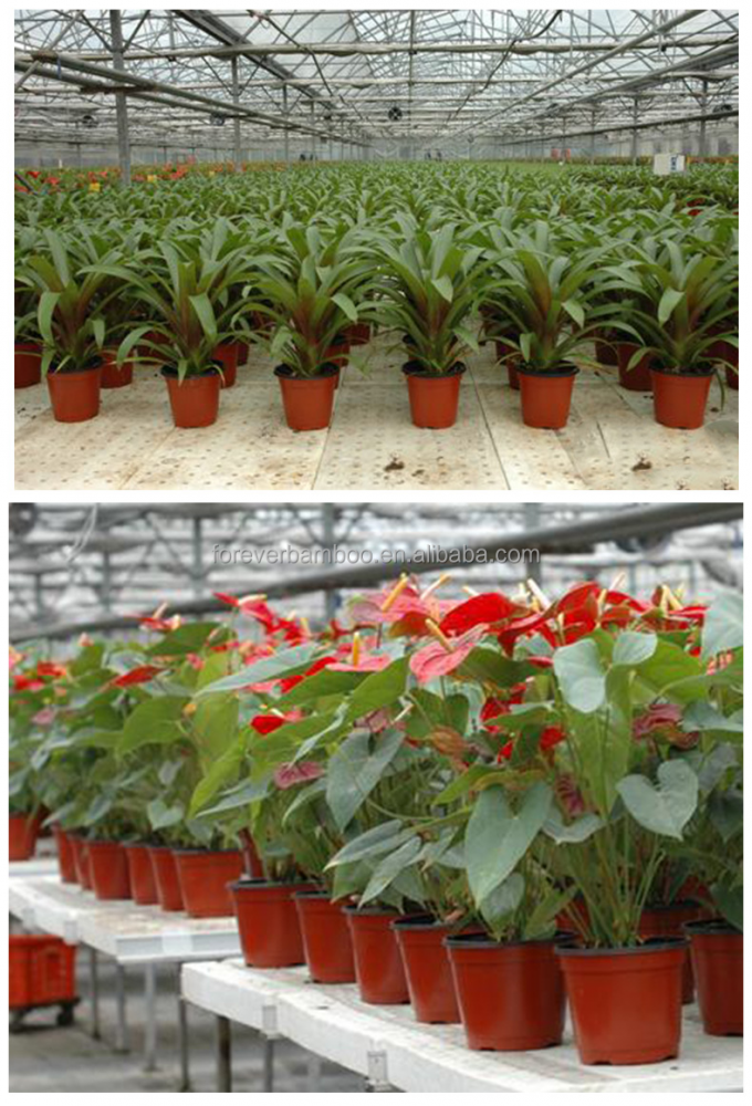 Plantes en plastique pour semer des plantes en pot pour semer des graines pour la germination et la culture des plants 1