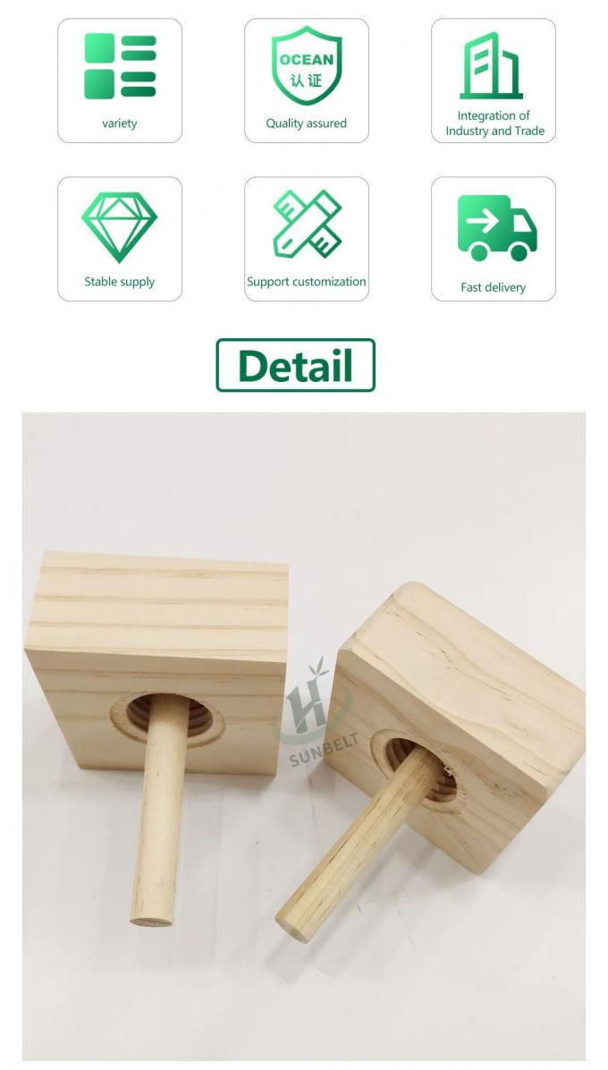 Bouteille de diffuseur d'huile essentielle de roseau vide cylindrique/carré avec bâton de bille en bois 2