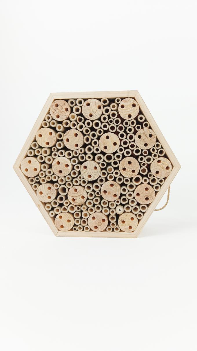 Insecte en bois maison d'abeille boîte suspendue Habitat d'insecte pour les abeilles Papillon Marionnettes bénéfiques 4