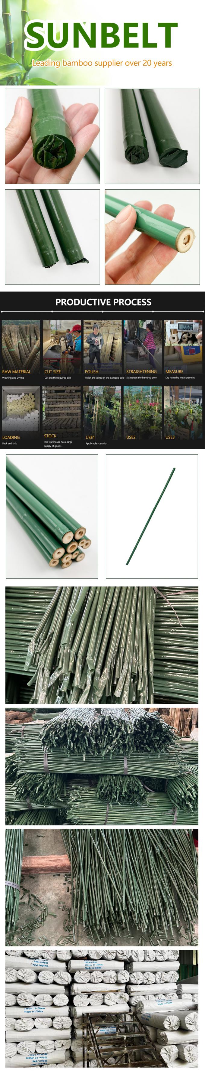 Piquet en bambou recouvert de plastique résistant aux intempéries pour le jardinage ou l'extérieur 0