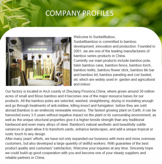 Piquet en bambou recouvert de plastique résistant aux intempéries pour le jardinage ou l'extérieur 1