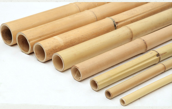 100% Polonais 240cm en bambou cru naturel construisant Deoration 60cm 595cm