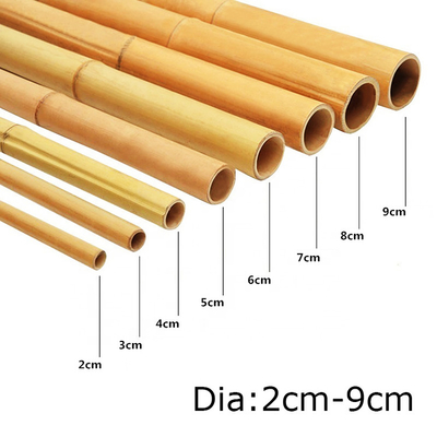 100% Polonais en bambou jaune naturel enjeux de jardin d'usine de 90cm à de 595cm
