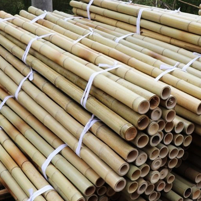 100% Polonais en bambou jaune naturel enjeux de jardin d'usine de 90cm à de 595cm
