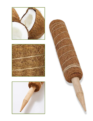 usines de Moss Totem Pole Kit For de fibre de coco de 44cm montant et soutenant la noix de coco Polonais d'usines