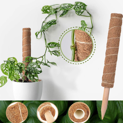usines de Moss Totem Pole Kit For de fibre de coco de 44cm montant et soutenant la noix de coco Polonais d'usines