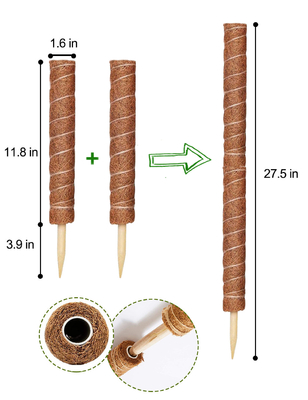 usines de Moss Totem Pole Kit For de fibre de coco de 44cm montant et soutenant la noix de coco Polonais d'usines