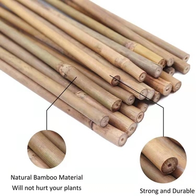 Enjeux en bambou naturels de soutien d'usine pour les usines d'intérieur, enjeu en bambou 40cm de bâtons de jardin en bambou de Polonais 595cm