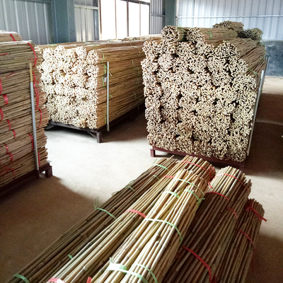Enjeux en bambou naturels de soutien d'usine pour les usines d'intérieur, enjeu en bambou 40cm de bâtons de jardin en bambou de Polonais 595cm