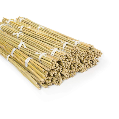 Enjeux en bambou naturels Polonais en bambou crus de meubles de jardin taille de 40cm à de 500cm