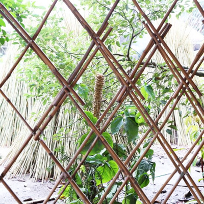 Enjeux en bambou naturels Polonais en bambou crus de meubles de jardin taille de 40cm à de 500cm