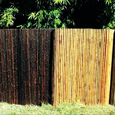 Écran en bambou roulé réutilisable d'intimité