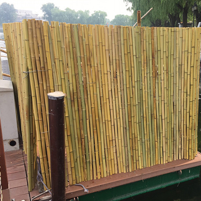 Barrière extérieure en bambou décorative de jardin de Tonkin Bamboo 1.5m de barrière d'arrière-cour
