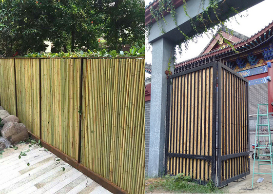Écran en bambou roulé à la maison clôturant le panneautage en bambou décoratif de jardin d'arrière-cour