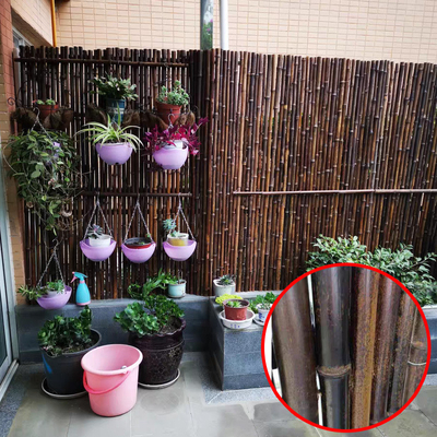 petit pain en bambou de 150x180cm clôturant la barrière en bambou décorative d'arrière-cour de balcon de treillis
