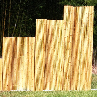 Couleur naturelle de Bamboo Roller Paneling de barrière durable de jardin de pépinière de jardin