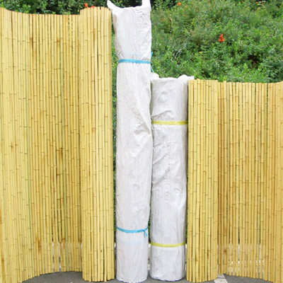 Barrière roulée en bambou examinante en bambou colorée naturelle de jardin de 240cm