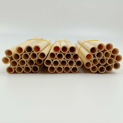 pailles en bambou jetables naturelles de 22.5cm pour le thé de cocktail de boisson de café