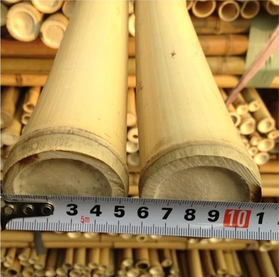 Enjeux en bambou de Polonais de 3 pouces de bambou écologique de Moso pour le jaune de décoration d'usine