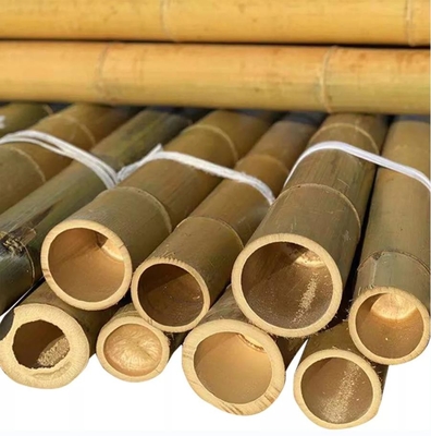 Taille personnalisée Poteaux de bambou sec pur naturel pour la construction ou la décoration