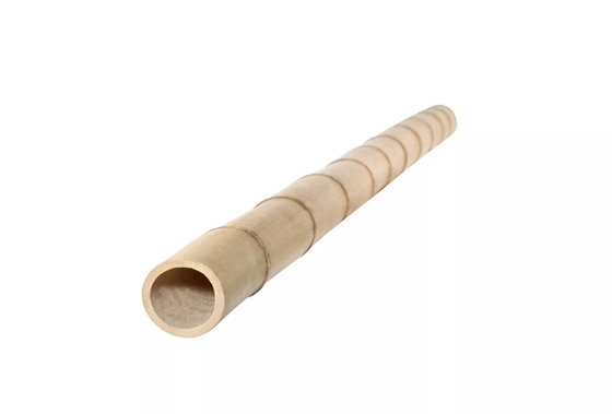Bambou naturel Polonais de Moso de 10 pieds pour la construction de construction de jardin