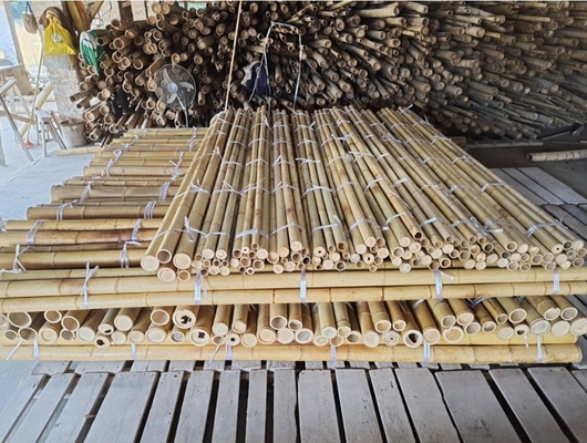 18 mm à 160 mm de diamètre Cane de bambou Moso Poteaux de bambou Construction Agriculture