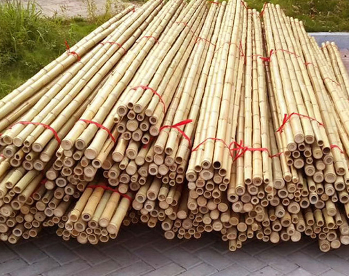 Enjeux en bambou naturels de Polonais de meubles de jardin directement pour la longueur 16cm d'usine de jardin