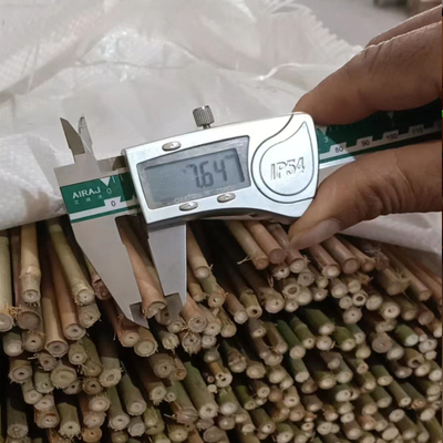 Bâton en bambou en bambou cru de 100% Polonais Polonais diamètre de 0.004m à de 0.014m