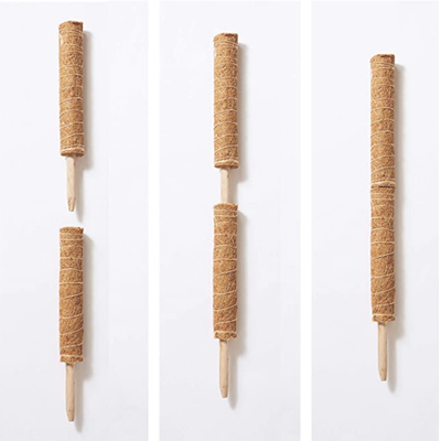 15,7 pouces d'usine de Polonais de noix de coco de poteaux colorés naturels Moss Pole de fibre de coco pour des usines s'élevant et soutenant