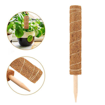 Poteaux de mousse pour les plantes d'escalade 30cm 40cm 60cm 90cm Natural Coconut Coir Totem Support Stake