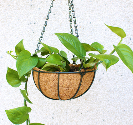 Panier accrochant de planteur en métal de décoration de jardin avec le revêtement de Cocos de fibre de coco de Cocos