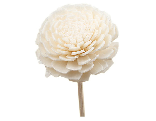 Le bois flairé a séché Sola Flower Reed Diffuser 15cm avec la mèche de coton pour décoratif