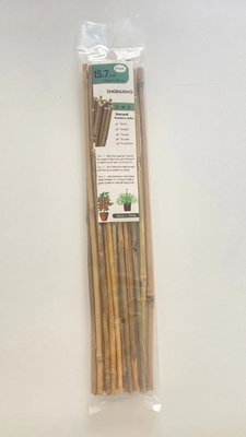 60cm droits secs à la grande Polonais couleur naturelle en bambou de 595cm