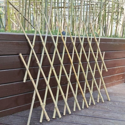 Jardin flexible en bambou expansible de treillis de Polonais clôturant pour la décoration 120*180cm de balcon