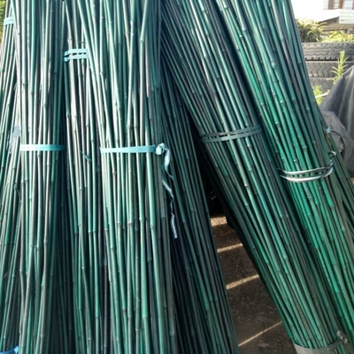 20cm ont peint la décoration verte de Rods d'enjeux en bambou crus de Polonais