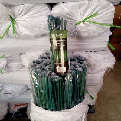 20cm ont peint la décoration verte de Rods d'enjeux en bambou crus de Polonais