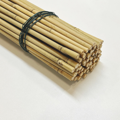 Le bambou en bambou naturel adapté aux besoins du client de matière première jalonne le diamètre de la longueur 6mm de 40cm 60cm 90cm