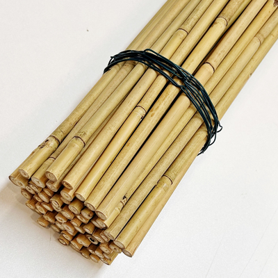 Le bambou en bambou naturel adapté aux besoins du client de matière première jalonne le diamètre de la longueur 6mm de 40cm 60cm 90cm