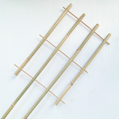 Le bambou de matière première de 100% jalonne 6m que les cercles de forme d'U Handcrafted la fleur de soutien de treillis