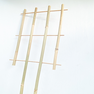 Le bambou de matière première de 100% jalonne 6m que les cercles de forme d'U Handcrafted la fleur de soutien de treillis