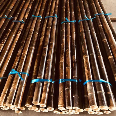 4cm à 20cm Tonkin Polonais en bambou crus ont carbonisé rouge vert noir adapté aux besoins du client