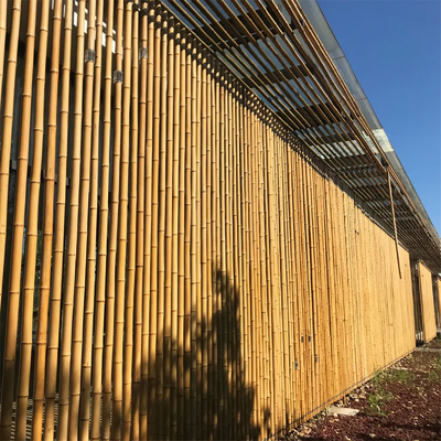 Enjeux en bambou de jardinage traités secs de cannes de Polonais de bâtons 16cm pour la construction
