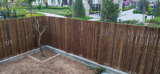 Barrière en bambou peinte matérielle en bambou naturelle Privacy Garden Border de Panels Rolled Bamboo de barrière