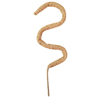 Support de la plante de la mousse de la perche d'escalade Poteaux de noix de coco Plantes de couleur palmier
