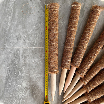 Support de la plante de la mousse de la perche d'escalade Poteaux de noix de coco Plantes de couleur palmier