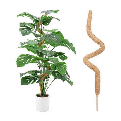 usines de Moss Totem Pole Kit For de fibre de coco de 44cm montant et soutenant la noix de coco Polonais d'usines